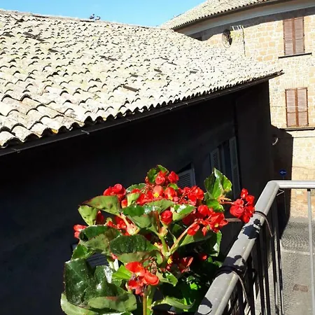 House * Orvieto